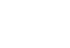 Smart ION logo